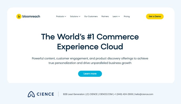 Customer_Data_Platform_11